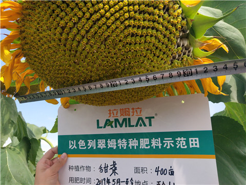 水溶肥，微生物菌劑，拉姆拉