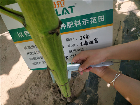 水溶肥，微生物菌劑，拉姆拉