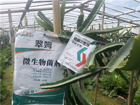 磷酸二氫鉀，翠姆，拉姆拉