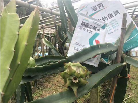 磷酸二氫鉀，翠姆，拉姆拉
