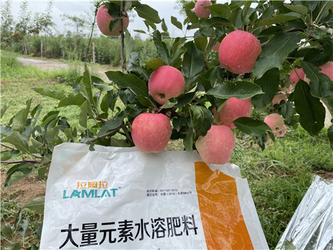 水溶肥，翠姆，拉姆拉