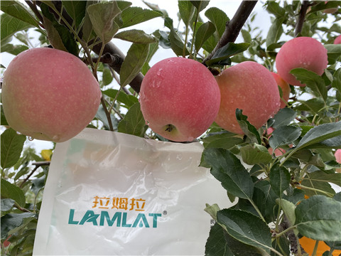 水溶肥，翠姆，拉姆拉