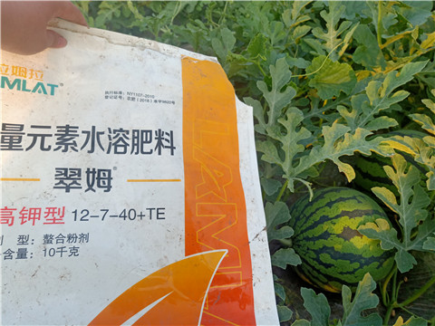 水溶肥，拉姆拉，翠姆