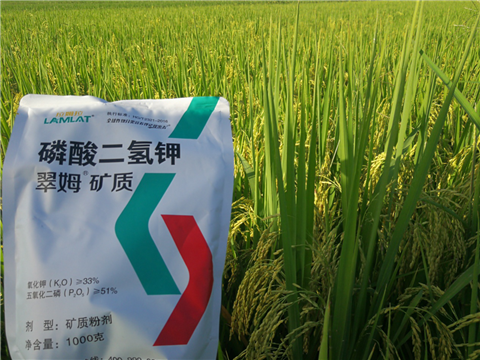 葉面肥，水稻灌漿肥，拉姆拉