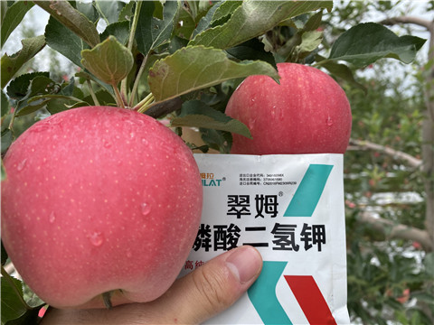 高鉀水溶肥，磷酸二氫鉀，拉姆拉，翠姆