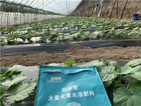 水溶肥，拉姆拉