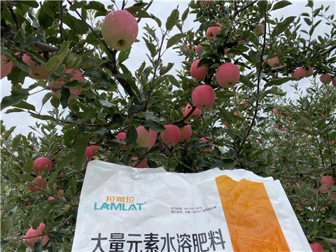 進(jìn)口水溶肥品牌，拉姆拉，翠姆