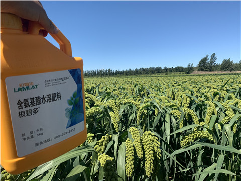 磷酸二氫鉀，拉姆拉，翠姆