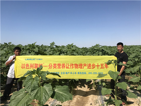 進(jìn)口水溶肥，拉姆拉