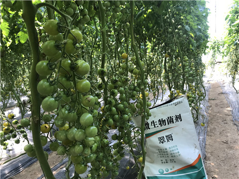 微生物菌劑，磷酸二氫鉀，翠姆，拉姆拉