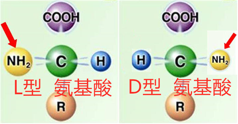 葉面肥，翠姆，拉姆拉