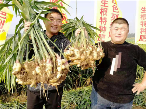 水溶肥，翠姆，拉姆拉