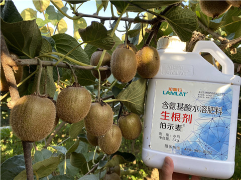 水溶肥，拉姆拉