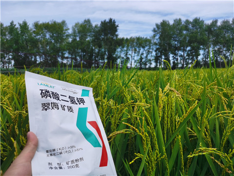 磷酸二氫鉀，拉姆拉，翠姆