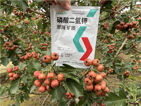 磷酸二氫鉀，拉姆拉，翠姆