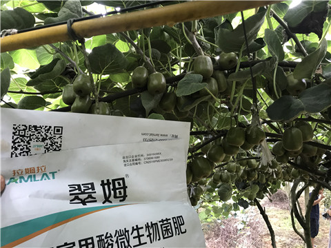 微生物菌劑，平衡顆粒復(fù)合肥，翠姆，拉姆拉