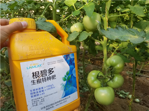 葉面肥，磷酸二氫鉀，微生物菌劑，翠姆，拉姆拉