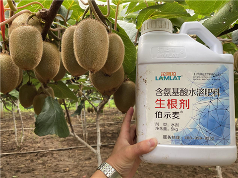 水溶肥，生根劑，微生物菌劑，伯示麥，拉姆拉