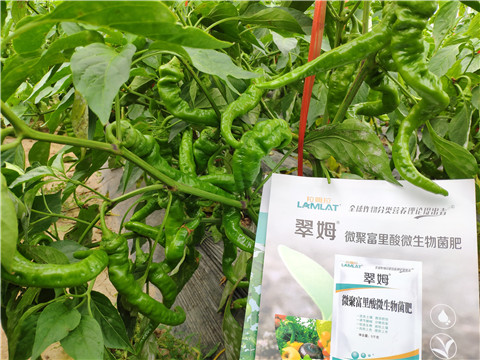 水溶肥，拉姆拉