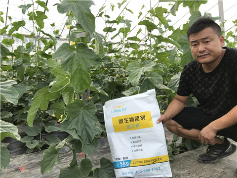 水溶肥，拉姆拉
