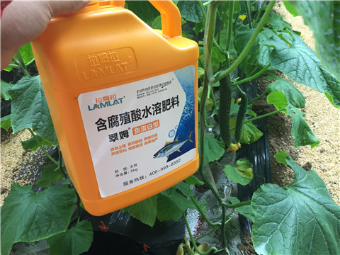 滴灌肥，拉姆拉，翠姆