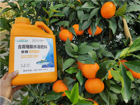 滴灌肥，拉姆拉，翠姆