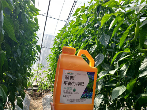 滴灌肥，拉姆拉，翠姆