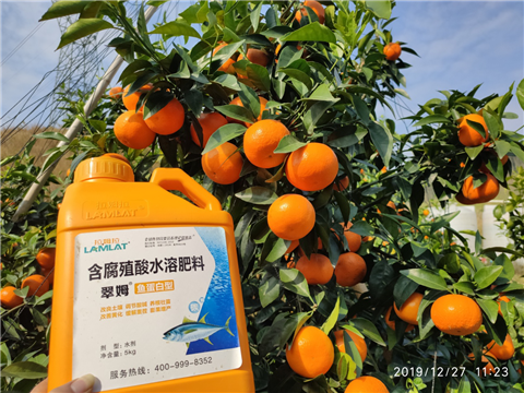 水溶肥，拉姆拉，翠姆