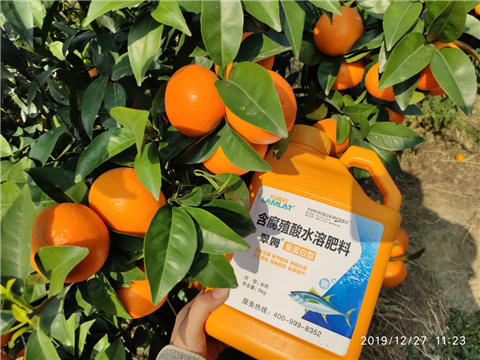 水溶肥，拉姆拉，翠姆