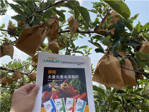 大量元素水溶肥，拉姆拉，翠姆