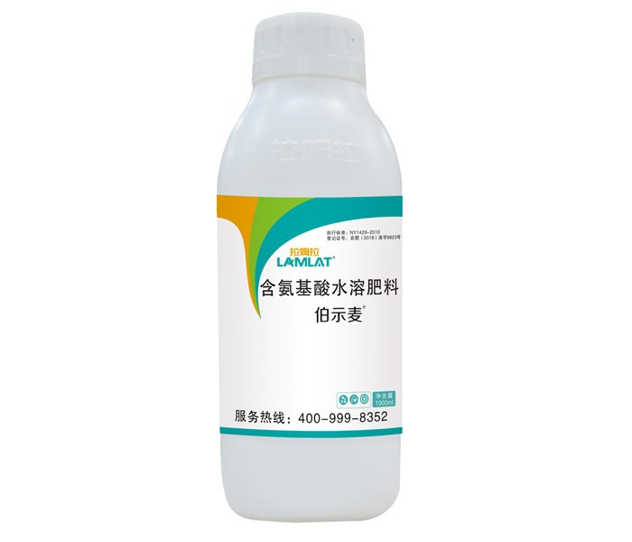 葉面肥，拉姆拉，伯示麥
