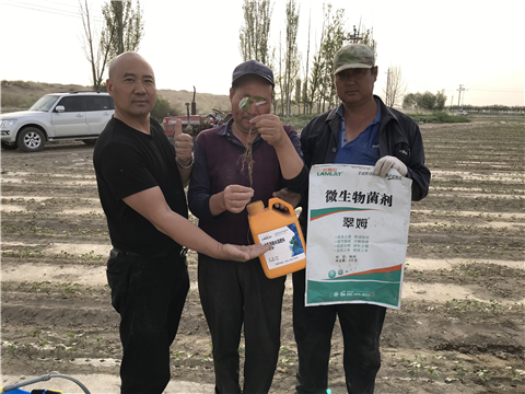 水溶肥，拉姆拉，翠姆
