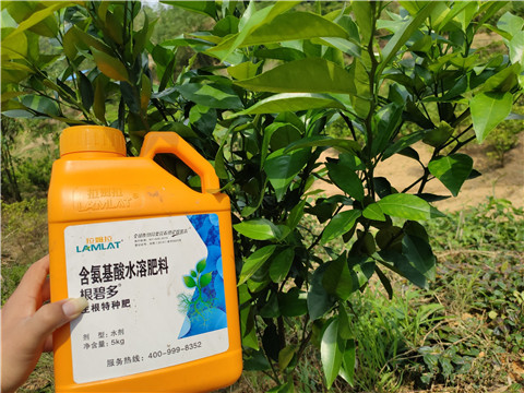 沖施肥，拉姆拉，翠姆