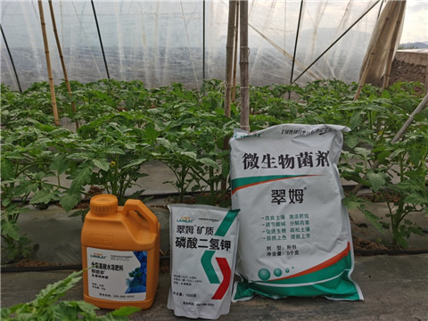 水溶肥，拉姆拉，翠姆