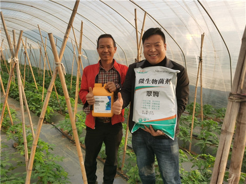 水溶肥，拉姆拉，翠姆