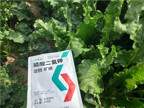 水溶肥，拉姆拉，翠姆