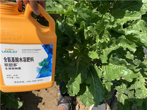 水溶肥，拉姆拉，翠姆