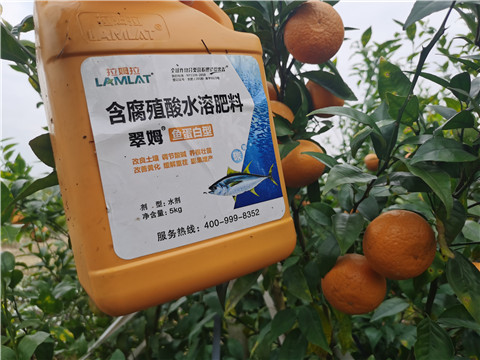 水溶肥，拉姆拉，翠姆