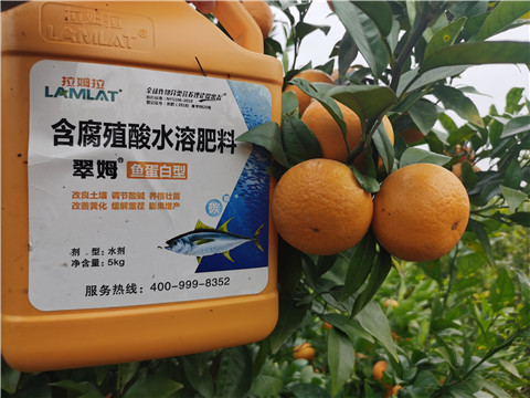 水溶肥，拉姆拉，翠姆
