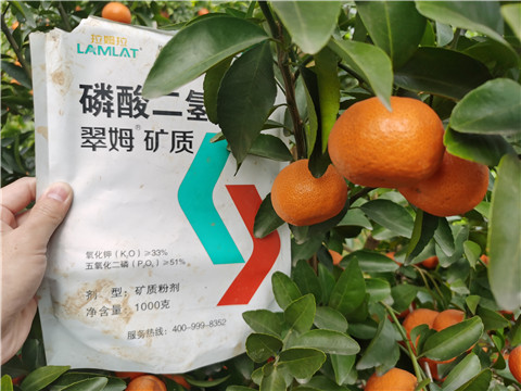 水溶肥，拉姆拉，翠姆