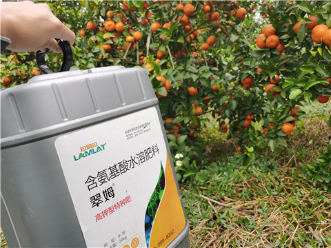 水溶肥，拉姆拉，翠姆