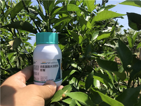 葉面肥，拉姆拉，翠姆