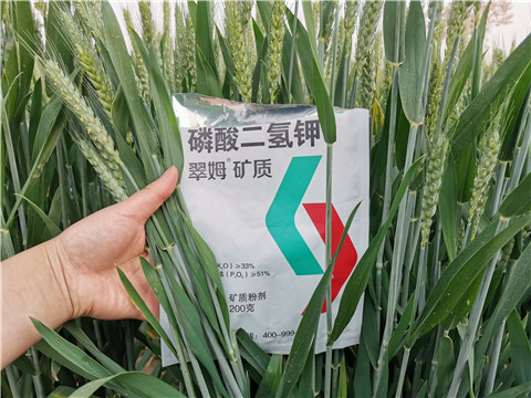 葉面肥，水溶肥，磷酸二氫鉀