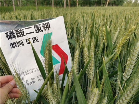 葉面肥，水溶肥，磷酸二氫鉀