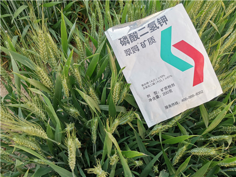 水溶肥，拉姆拉，翠姆