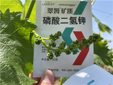 磷酸二氫鉀，拉姆拉，翠姆