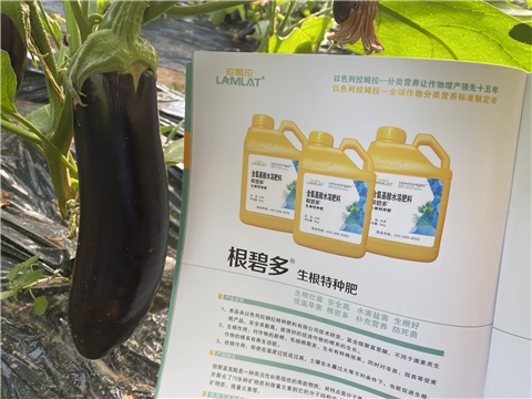 水溶肥，拉姆拉，翠姆