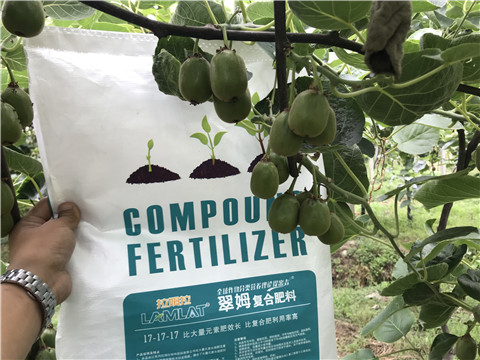 顆粒水溶肥，拉姆拉，翠姆