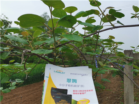 小分子有機(jī)碳，拉姆拉，翠姆
