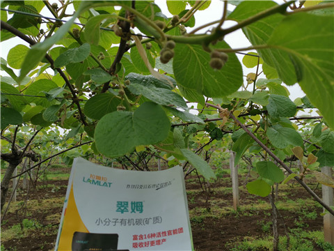 小分子有機(jī)碳，拉姆拉，翠姆